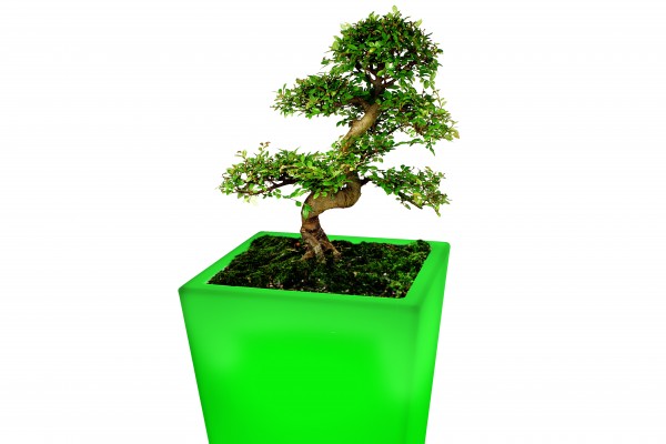 7even LED Design Blumentopf / LED-Vase / Flower Pot T40 X B30 X H80cm Farbwechsel Blumentopf